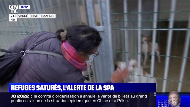 Avec 7.200 animaux en attente d'adoption, les refuges de la SPA saturés