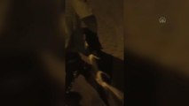 KIRKLARELİ - Kafası konserve kutusuna sıkışan kediyi polis kurtardı