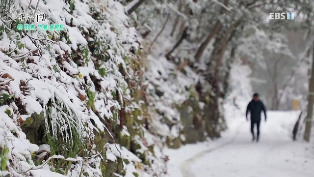 한국기행 - Korea travel_이 맛에, 겨울 울릉도 2부- 미지의 길 끝에서_#002