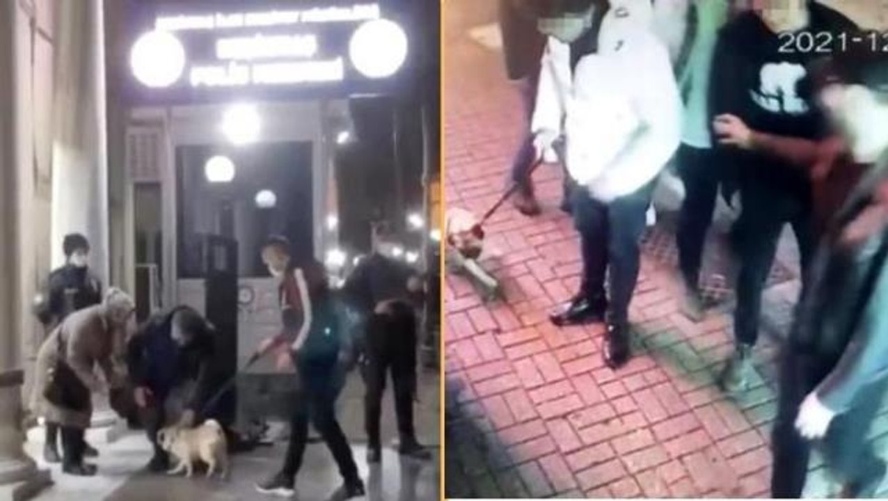 Çalınan "Gorbi" isimli köpek 4 farklı kişiye sa...