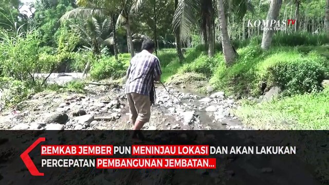 Detik-detik Jembatan Darurat di Jember Putus Terbawa Arus Sungai