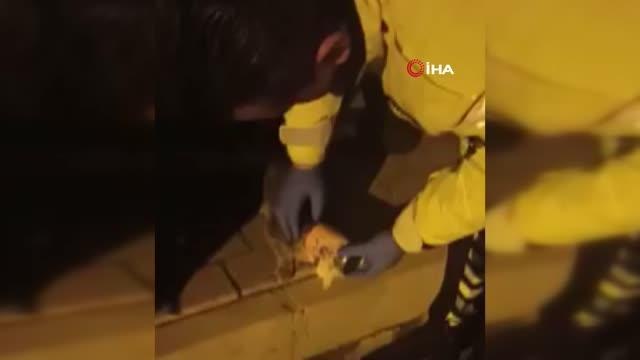 Son dakika haber! Kafası konserve kutusu sıkışan yavru kediyi polis ekipleri kurtardı