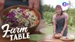 Farm To Table: Chef JR Royol whips up a quick side dish using red cabbage