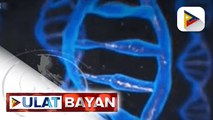 DOH: 13 rehiyon sa PHL, nakapagtala ng kaso ng Omicron Variant; OCTA: Pagtaas ng kaso ng COVID-19, naitala sa ibang bahagi ng bansa