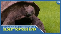 190-Year-Old Jonathan Becomes World’s Oldest Tortoise Ever, Earns Guinness World Records Title