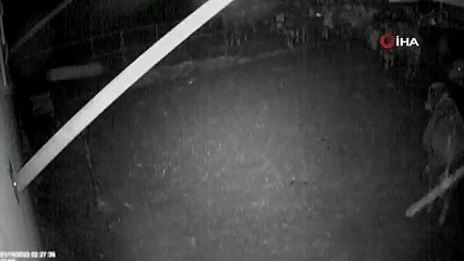 Ahırdaki hayvanların depremi önceden hissettiği anlar kamerada