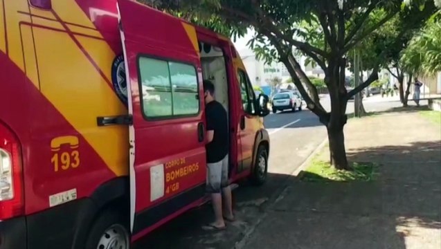 Ao retirar manga, mulher cai de árvore e fica ferida no Bairro Neva, em Cascavel