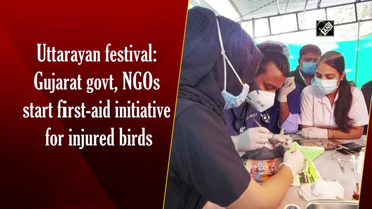 Gujarat govt, NGOs start first-aid initiative for birds injured during Uttarayan festival