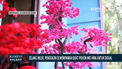 Jelang Imlek, Pengrajin di Mempawah Buat Pohon Mei Hwa untuk Dekorasi dan Dijual