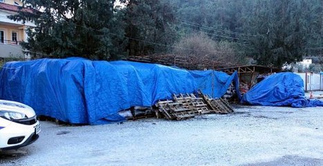 Son dakika haber! Zabıtaya kızıp kendini yakan kömür satıcısı öldü