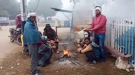 Weather news- कड़ाके की सर्दी और शीतलहर जारी, छह जिलों में कोल्ड डे का अलर्ट