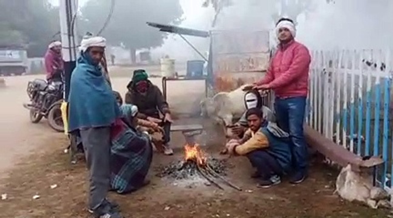 Weather news- कड़ाके की सर्दी और शीतलहर जारी, छ...