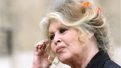 GALA VIDEO - EXCLU - Brigitte Bardot lâchée par sa famille ? “Je ne sais même pas où elle est”