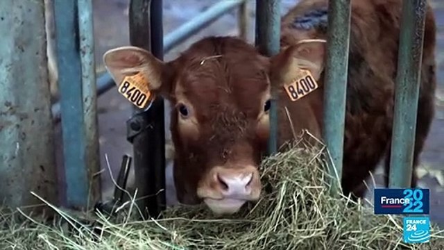 Allons Enfants de la patrie... en Normandie