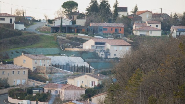 GALA VIDEO - Disparition de Delphine Jubillar : où ses enfants vont-ils passer Noël ?
