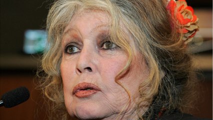 GALA VIDEO - Brigitte Bardot sans nouvelles d’Alain Delon : elle explique pourquoi