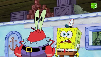 مقرمشات سلطع أصبح متحفاً وشفيق يقدم إستقالته