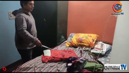 #cithiraitv #படுக்கையறையில்.. பாட்டியுடன் ஒன்றாக விடிய விடிய படுத்து தூங்கிய "பாம்பு".. அலறிய மக்கள்