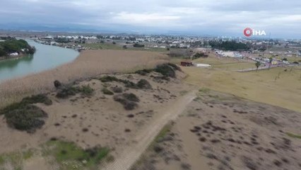 Serik'te vatandaşlardan Boğazkent Halk Plajında yapılan çim çalışmalarına destek