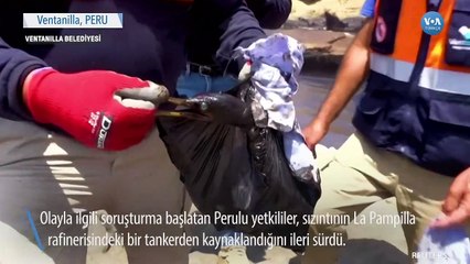 Peru Sahilleri Petrol Sızıntısı Nedeniyle Siyaha Büründü