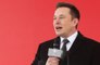 Elon Musk quips he 'never tweets anything controversial'
