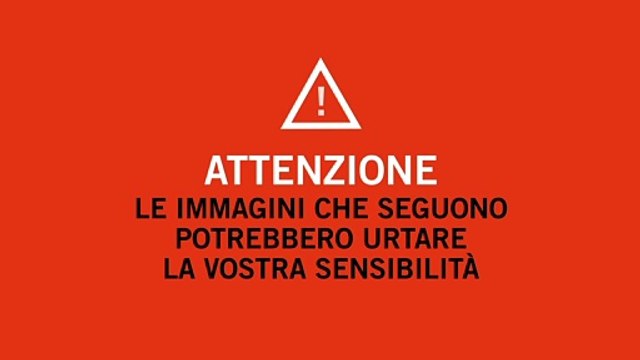Picchia la madre disabile sulla sedia a rotelle. Incastrato dalle telecamere nascoste