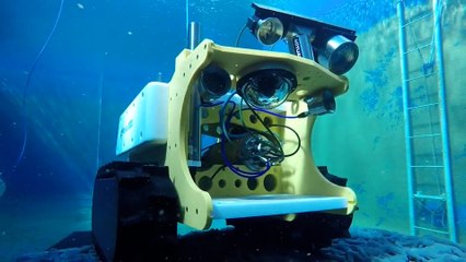 BathyBot, le robot qui va observer les abysses en Méditerranée