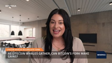 As Litecoin Whales Gather, Can Bitcoin’s Fork Make Gains?