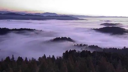 Sea of fog flows like water in California