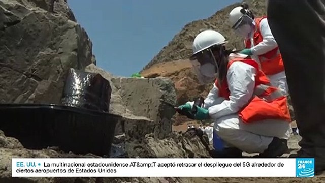 Perú: Tsunami de Tonga ocasionó derrame de petróleo en playas de Callao