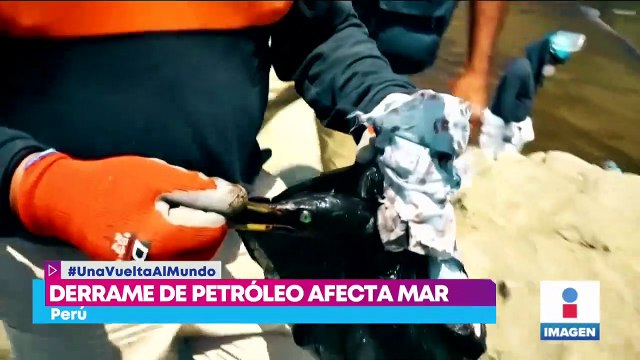 Difunden las primeras imágenes tras la erupción volcánica y el tsunami en Tonga