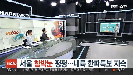 [날씨클릭] 서울 함박눈 펑펑…내륙 한파특보 지속