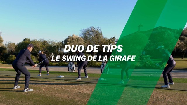 Duo de tips : Le swing de la girafe