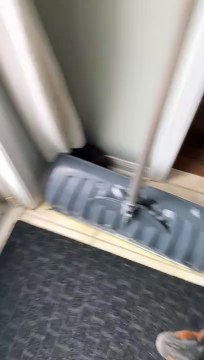 Doberman Instantly Regrets Going Out