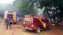 Casa é destruída por incêndio na Linha Chão Batido, em Cascavel; cachorrinha de estimação morreu carbonizada