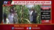 ದಾವಣಗೆರೆಯಲ್ಲಿ ಕಾಡಾನೆಗಳ ಹಾವಳಿಗೆ ತತ್ತರಿಸುತ್ತಿರುವ ಜನ | Davanagere | TV5 Kannada