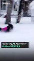 [30초뉴스] 치워도 계속 쌓이는 눈…캐나다에 40~60cm 폭설