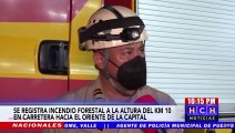 Miembros del Cuerpo de Bomberos trabaja para apagar incendio forestal en la salida a Oriente del país