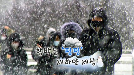 [영상] 함박눈 '펑펑' 새하얀 세상 / YTN