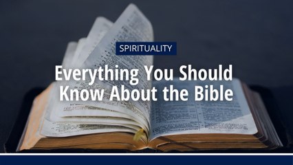 Everything You Should  Know About the Bible