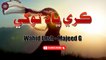 Karay Yaad Toh Kha | Wahid Ursh & Majeed G | New Sindhi Song