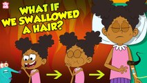 What If We Swallowed A Hair? | Hairs In Our Stomach | The Dr Binocs Show | Peekaboo Kidz