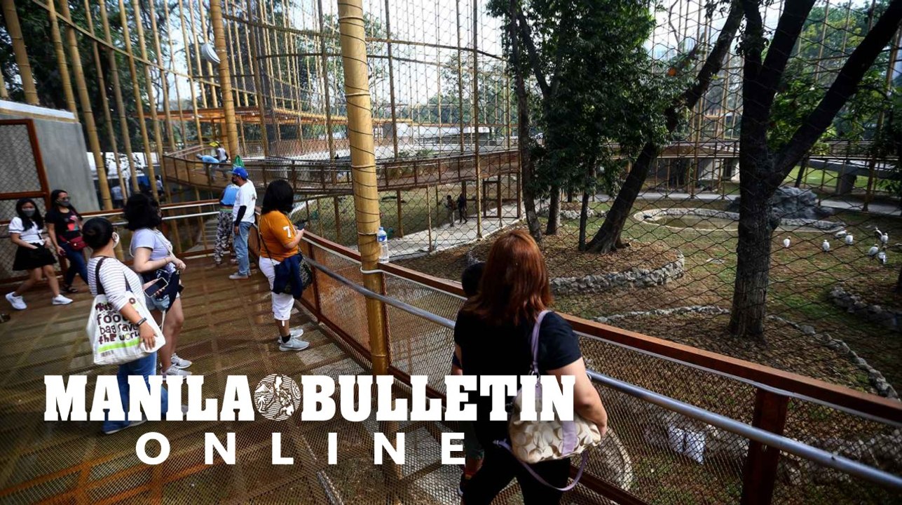 Mayor Isko and VM Honey Lacuna leads the mass vaccination at the Manila Zoo