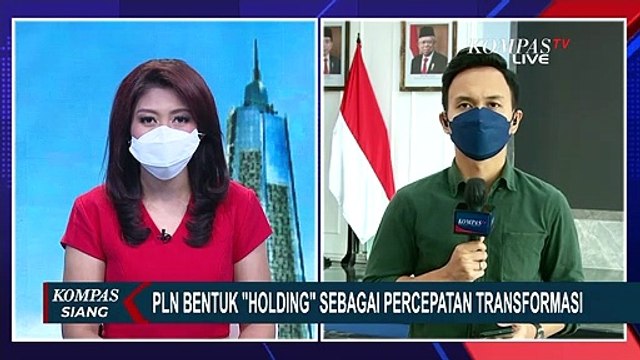 Menteri BUMN Erick Thohir Bentuk Holding & Subholding di Tubuh PT PLN, Untuk Apa?