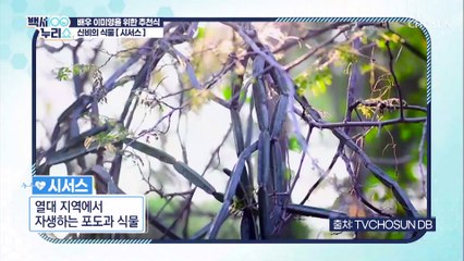 염증으로 돌변하는 지방세포 관리에 도움 주는 ˹●●●˼ TV CHOSUN 20220119 방송