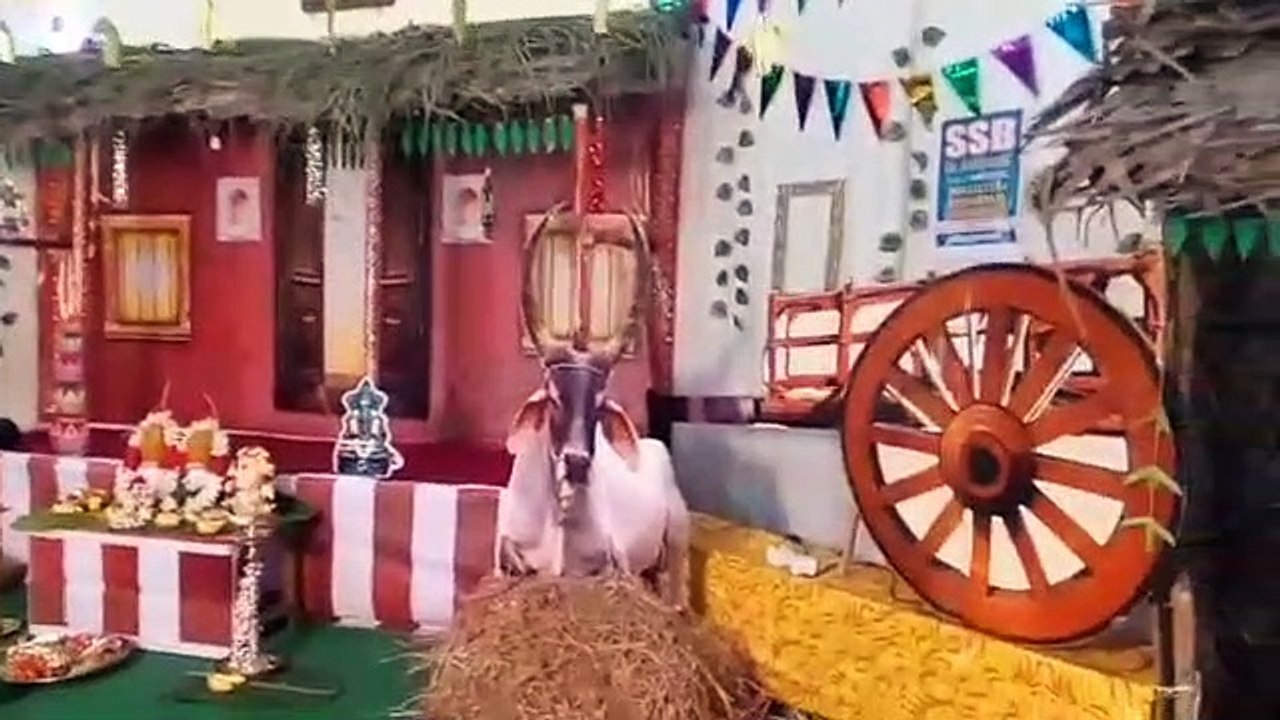 மஞ்சள் நீராட்டு விழா.. பறையிசையுடன் மாட்டு வண்ட...