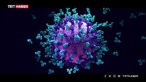 Koronavirüsün varyant yolculuğu: Omicron salgını nereye getirdi?