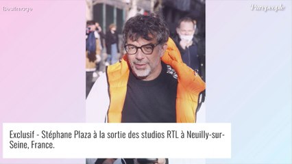 Download Video: Stéphane Plaza cambriolé et 