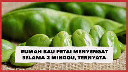 Bingung Rumah Bau Petai Menyengat Selama 2 Minggu, Usai Ditelusuri Ternyata Bikin Syok