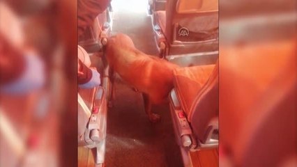 Yolcu otobüsünde uyuşturucuyla yakalanan zanlı tutuklandı